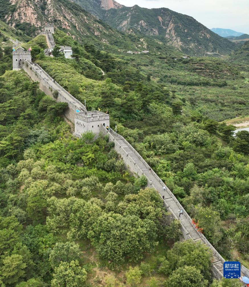 奔驰宝马游戏不输的玩法